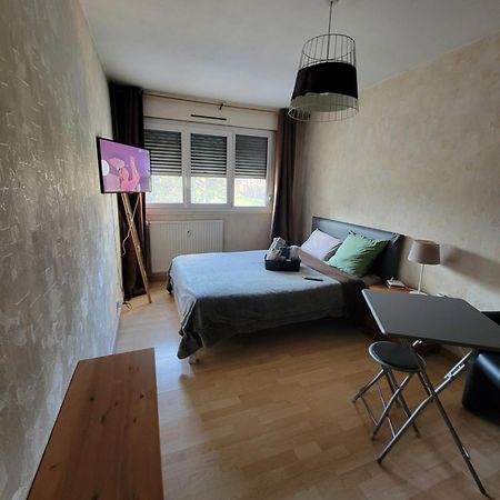 Pour Deplacement 3 Chambres Échirolles Exteriér fotografie